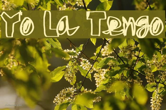 Yo La Tengo Fonte examples