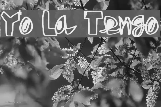 Yo La Tengo Font examples