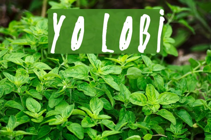 Yo Lobi Font examples