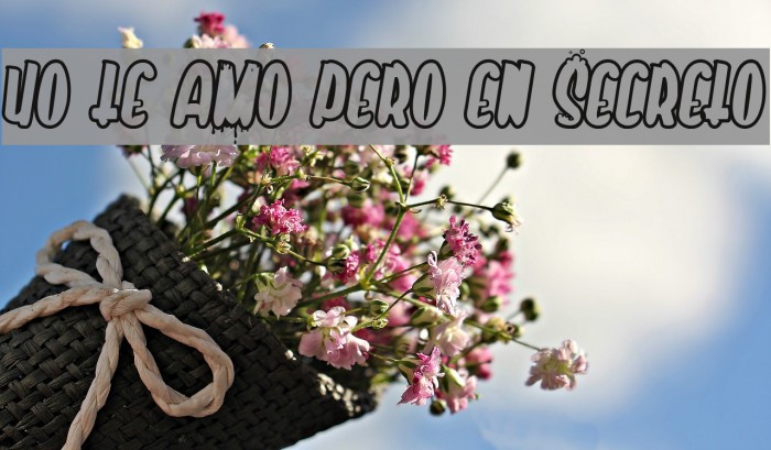 Yo te amo pero en secreto Font examples