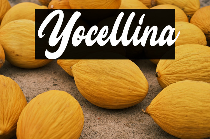 Yocellina Example 1