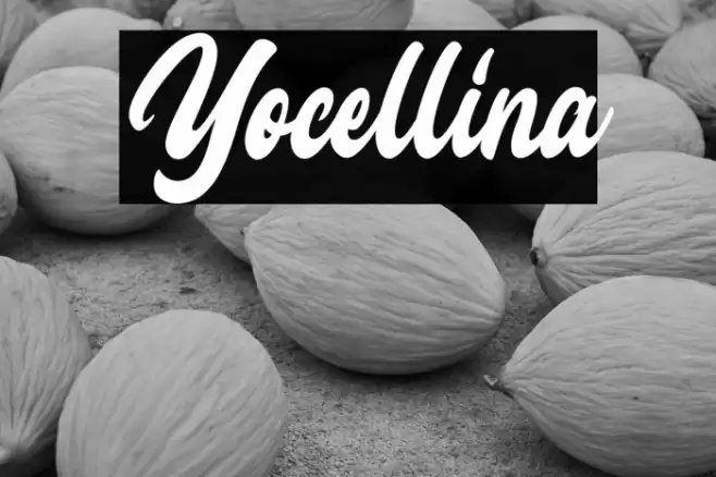Yocellina Font examples
