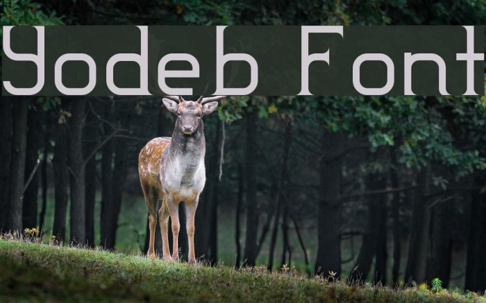 Yodeb Font examples