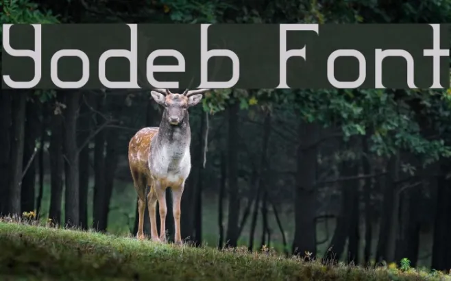 Yodeb Example 2