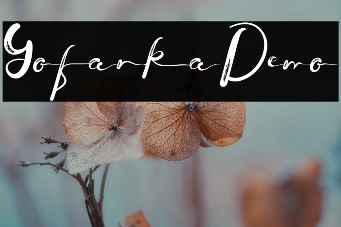 Yofanka Demo Example 2