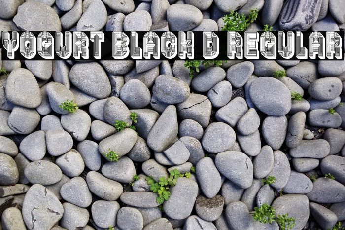 Yogurt Black 3D Regular Example 1