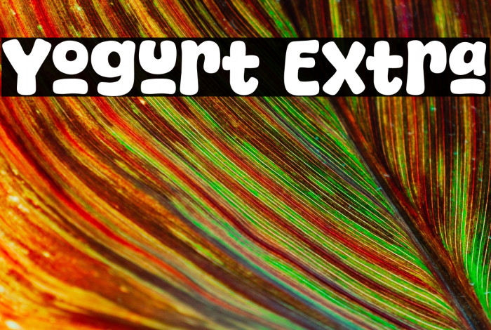 Yogurt Extra Example 3