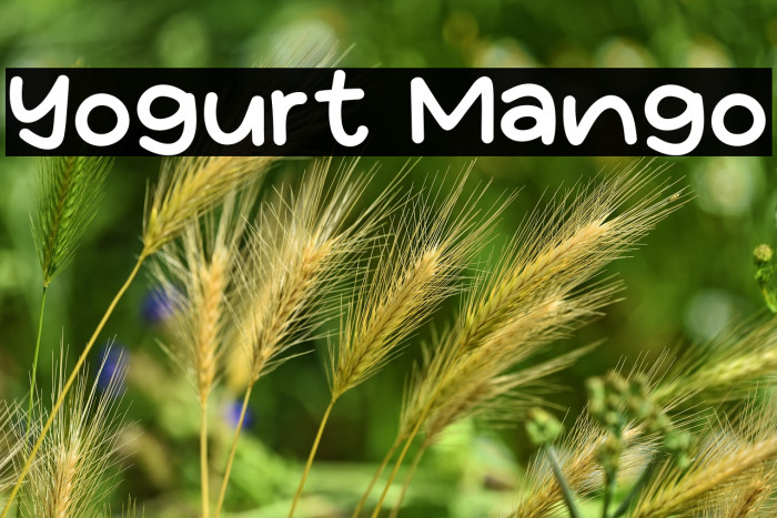 Yogurt Mango Example 2