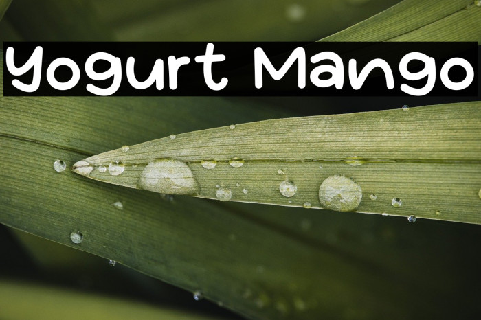 Yogurt Mango Example 3