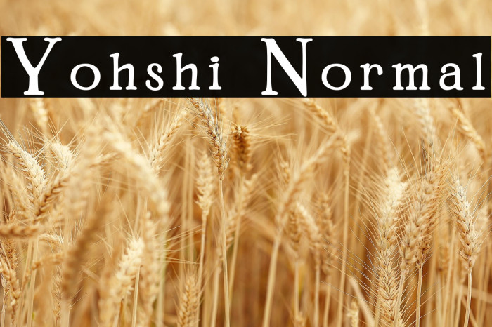 Yohshi Normal Example 2