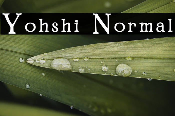 Yohshi Normal Example 3