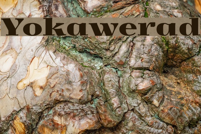 Yokawerad Font examples