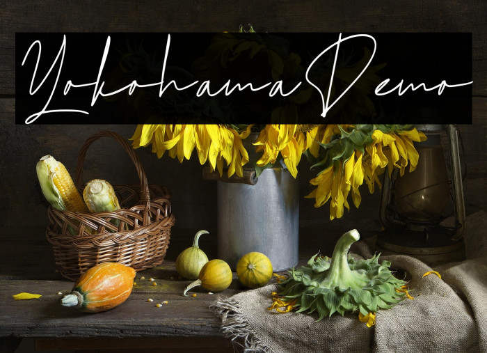 Yokohama Demo Font examples