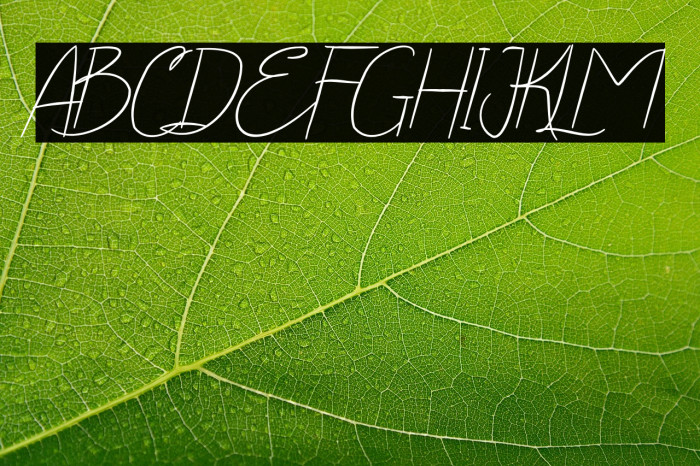 Yola Etalia Handwritten Example 1