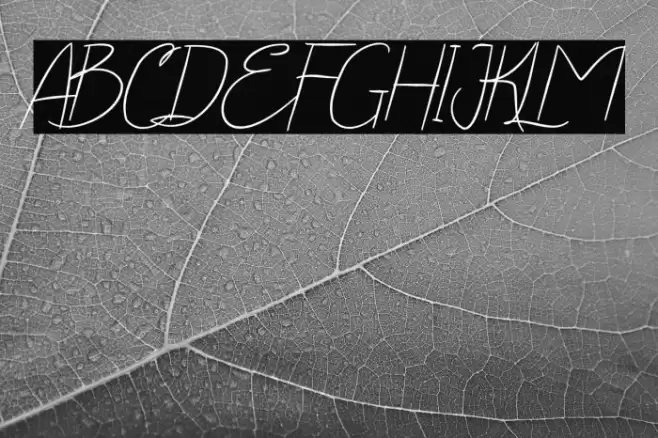 Yola Etalia Handwritten Font examples