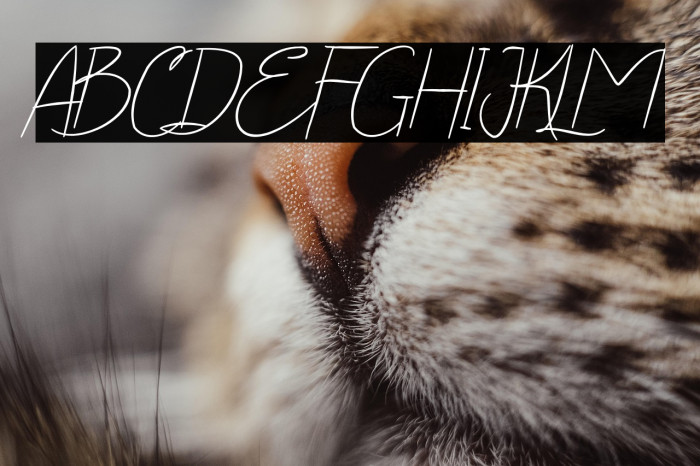 Yola Etalia Handwritten Example 2