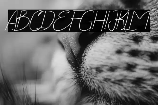 Yola Etalia Handwritten Font examples