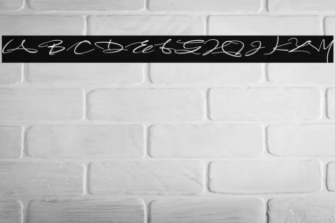 Yolanda Font examples