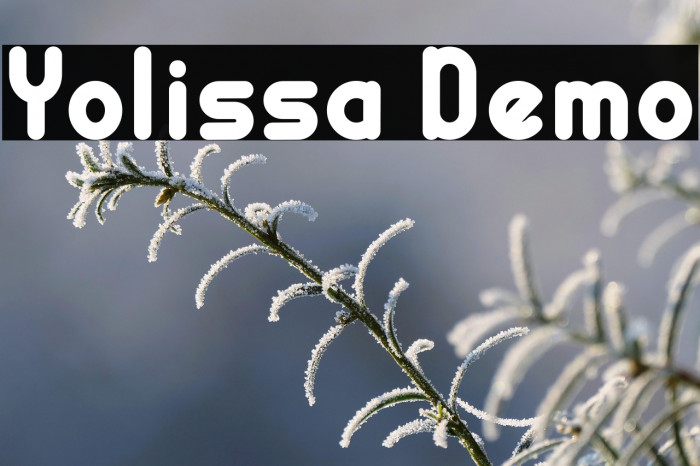 Yolissa Demo Example 1