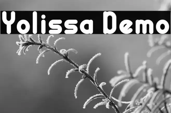 Yolissa Demo Font examples