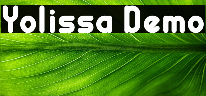 Yolissa Demo Example 3