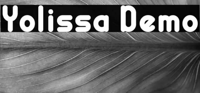 Yolissa Demo Font examples