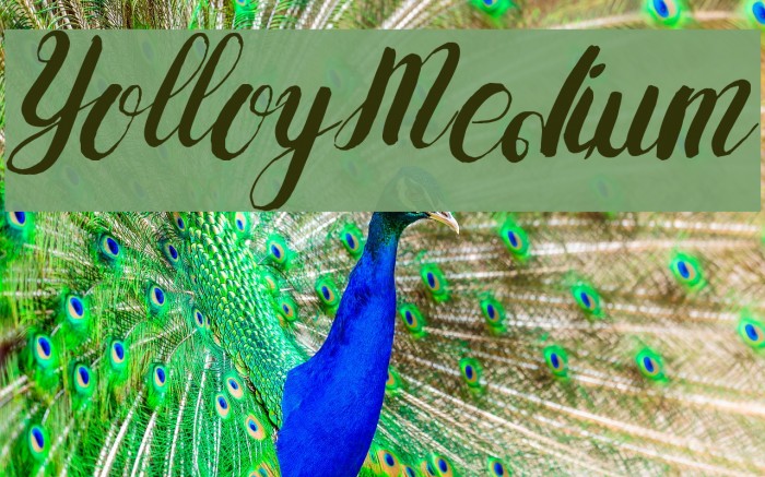 Yolloy-Medium Font examples