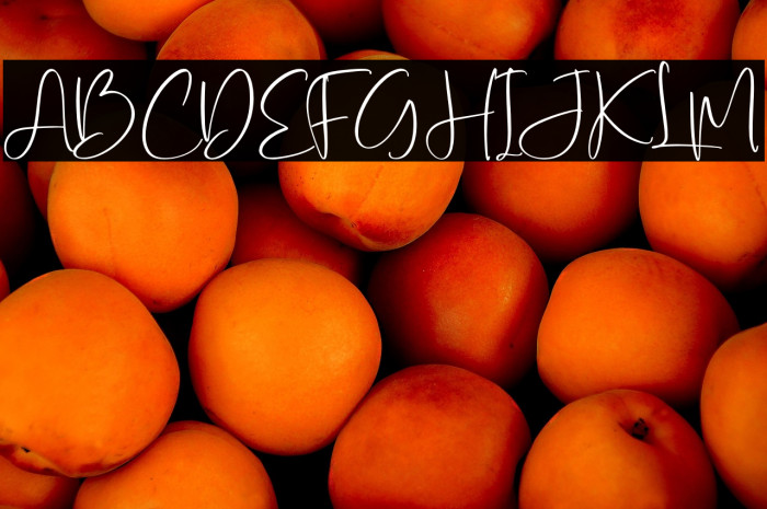 Yolmans Zemicka Example 1