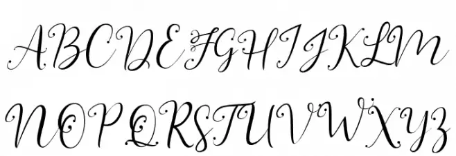 YonTypeStudio Co 字体 大写