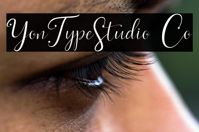 YonTypeStudio Co Example 1