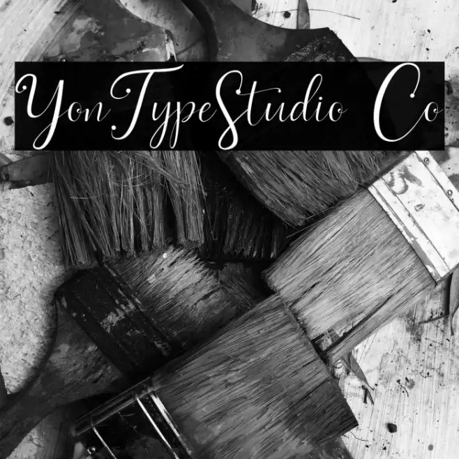 YonTypeStudio Co Font examples