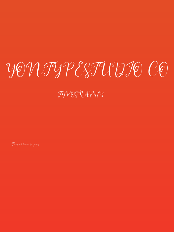 YonTypeStudio Co Poster