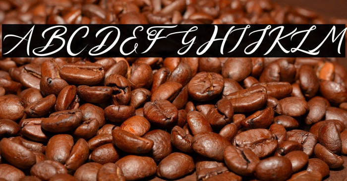 YonTypeStudio.Co Example 2