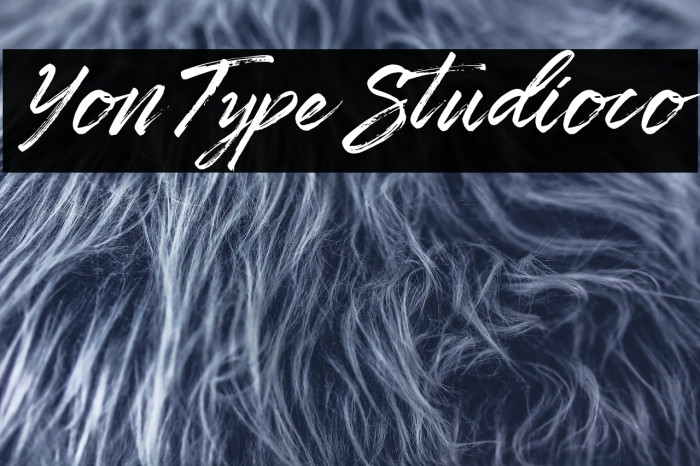 YonTypeStudio.co Example 2