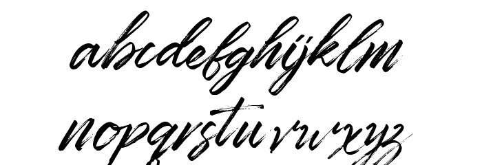 YonTypeStudio.co Font LOWERCASE