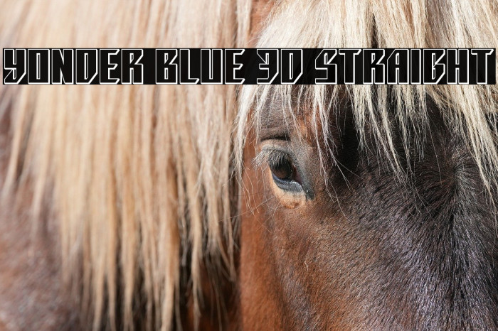 Yonder Blue 3D Straight Example 1