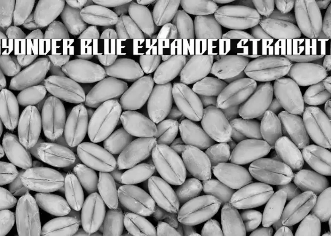 Yonder Blue Expanded Straight Font examples