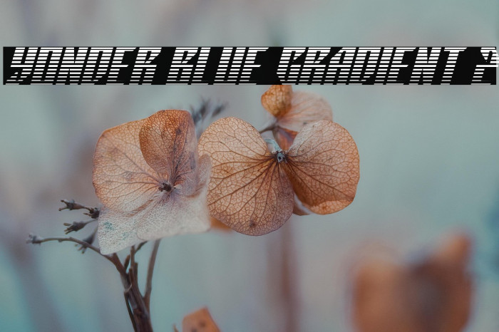 Yonder Blue Gradient 2 Example 2
