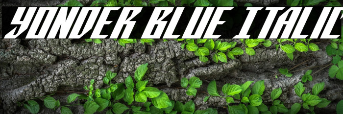 Yonder Blue Italic Example 1