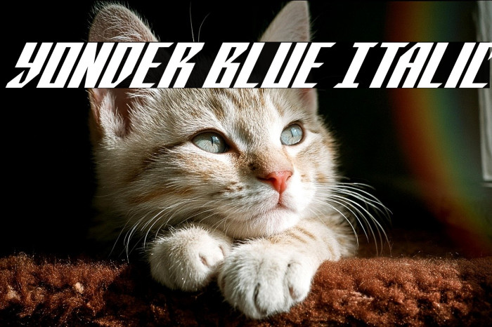 Yonder Blue Italic Example 2