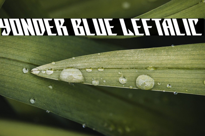 Yonder Blue Leftalic Example 2