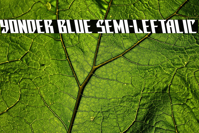 Yonder Blue Semi-Leftalic Example 1