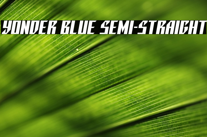 Yonder Blue Semi-Straight Example 2