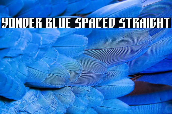 Yonder Blue Spaced Straight Example 2