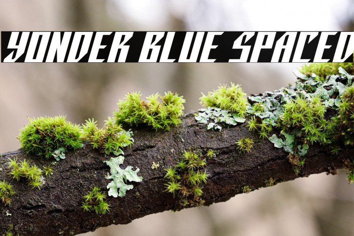 Yonder Blue Spaced Example 3