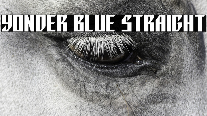 Yonder Blue Straight Example 1
