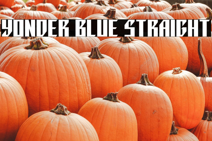 Yonder Blue Straight Example 2