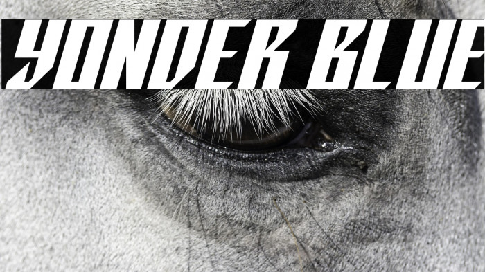 Yonder Blue Example 1