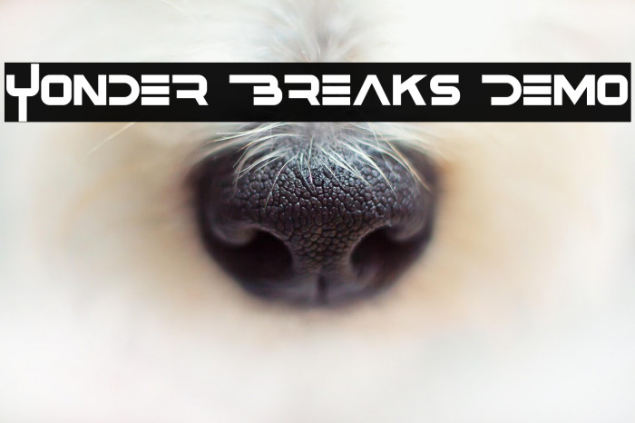 Yonder Breaks Demo Example 2