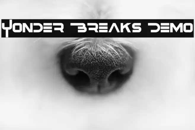 Yonder Breaks Demo خط examples